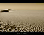 ...White sands... ; comments:38
