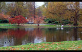 St James&#039; Park, London ; comments:23