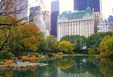 Fall in Central Park ; comments:6