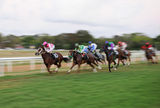 Horse racing, Garrison Savannah ; comments:9