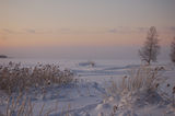 Winter by the Baltic sea ; comments:30