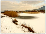 Дупнишка Бистрица през зимата ; comments:28