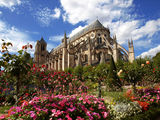 Bourges Cathedral ; comments:11