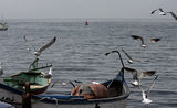 Поморие, рибари - 27.03.10г. ; comments:5