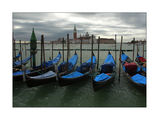 Venezia ; comments:8