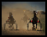 Harness racing ; Коментари:48