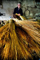 ...broom makers... ; comments:15