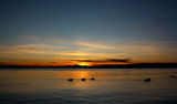 tramonto sul lago di Bolsena ; comments:27