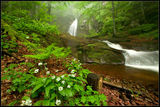 Копренски водопади подправени с малко див чесън :) ; comments:16