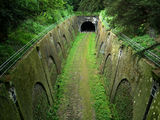 Тунел в гората ; comments:37