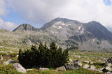 Поглед към връх Каменица ; comments:3