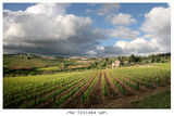 Toscana ; comments:20