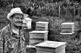 Пчеларят, който обича пчелите 2 ; comments:4