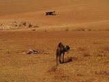 masada desert. ; comments:12