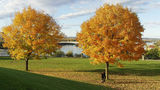Fall in Ottawa ; comments:2