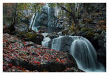 Боянски водопад ; comments:13