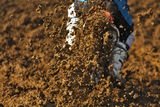 motocross ; comments:3