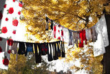 за прането и есенните дървета ; comments:2