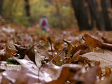 клише - есенна разходка ;)))) ; comments:8