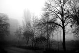 Мъгла ; comments:1