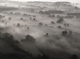 English fog ; comments:51