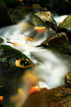 Боянски водопад ; comments:4