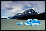 Lago Grey, Torres del Paine, Chile ; comments:38