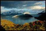 Lago Grey, Torres del Paine, Chile ; comments:31