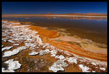 Laguna Collpa, Altiplano, Bolivia ; comments:14