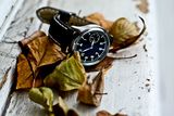 Pilot big watch ; comments:1