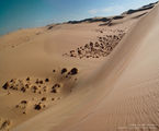 Siwa Sand Dunes ; comments:32