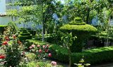 Градината.НЛО-топиария 2,topiary ; comments:30