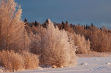 Nordic winter sun ; comments:15