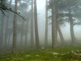 Bavella morning Corsica ; comments:25