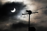 Solar Eclipse   -   Ами... нищо ново под слънцето, особено днес :)) ; Коментари:144