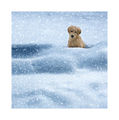 Умилително с куче и сняг... ; comments:90