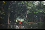 Backwaters, Kerala, India ; comments:11