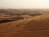 Dubai ( Desert Safari ) ; comments:22