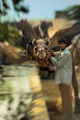 Камили на водопой (Пушкар, ИндияІ ; comments:14