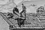 roof job II ; comments:4