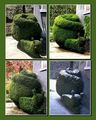 Топиария 2  topiary ; comments:12