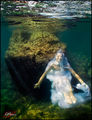 Lonely bride in the seabed ; comments:6