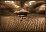 Desert storytale ... ; comments:8
