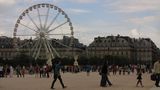 Виенски полъх в Париж ; comments:8