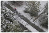 Честит първи градски сняг :) ; comments:14