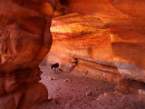 Donkey in a cave, Petra, Jordan ; comments:11