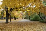 Есен в парка ; Comments:4