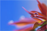 Waterdrops ; comments:18