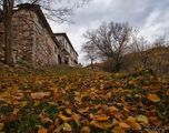 Есен в Дядовци ; comments:8