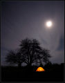 Full moon camp ; comments:43